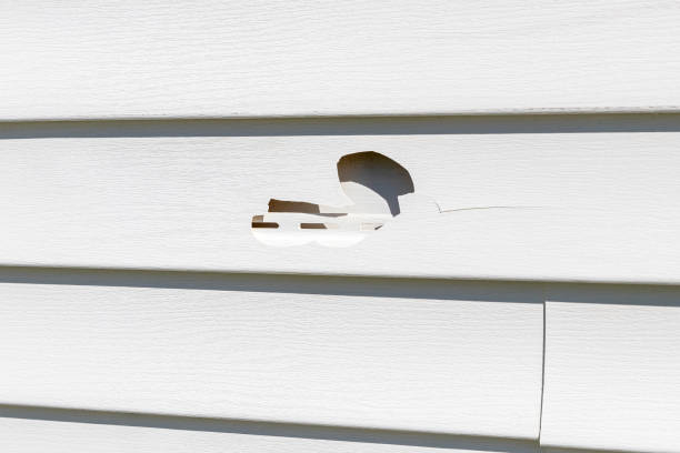 Best Custom Siding Design  in Grifton, NC